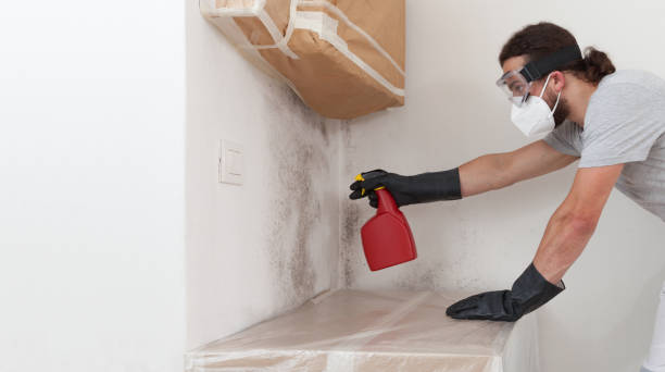 Professional Black Mold Remediation technician working in Bethel, NC